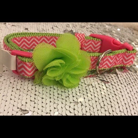 Martha Stewart Other Martha Stewart Dog Collar Small Poshmark